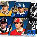 lnh bet alege